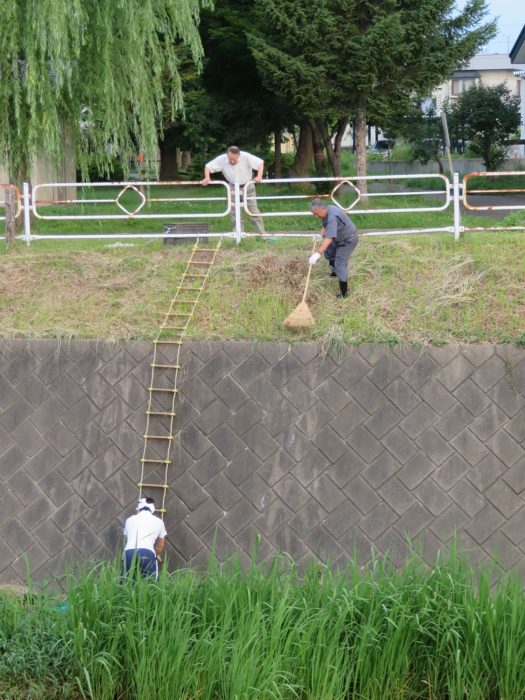 夏季河川清掃早朝アクティビティ