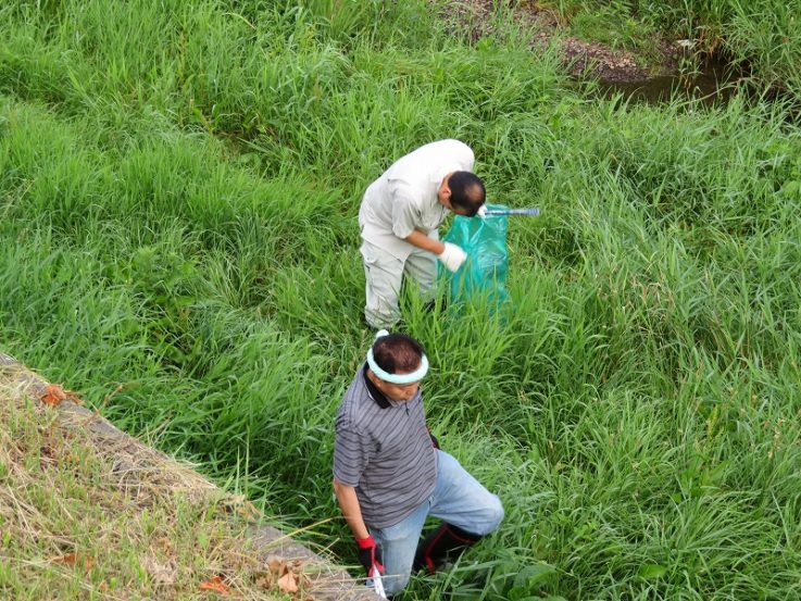 夏季河川清掃早朝アクティビティ