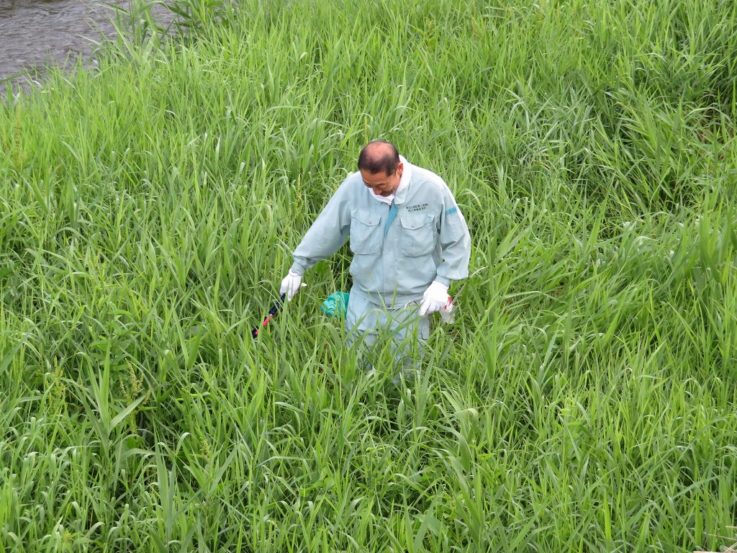 夏季河川清掃早朝アクティビティ