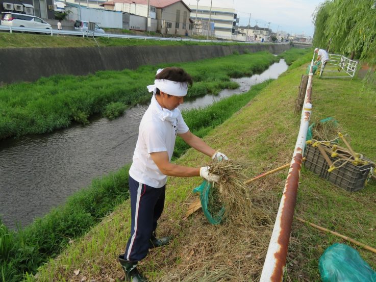 夏季河川清掃早朝アクティビティ